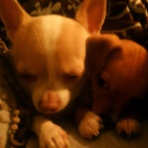 Meet your Posher, Linda